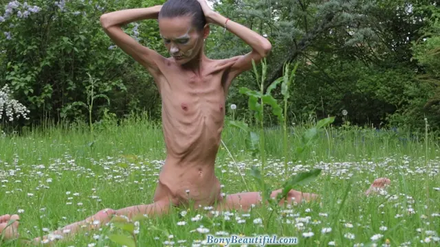 Poster: DenisaMeadow1 HD