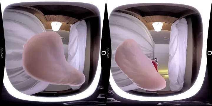 Poster: Erika Xmas - Trampling and Facesitting