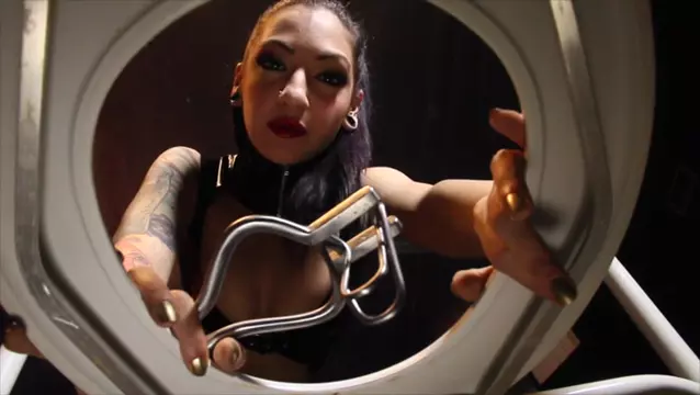 Poster: Cybill Troy - Toilet Slave For Life