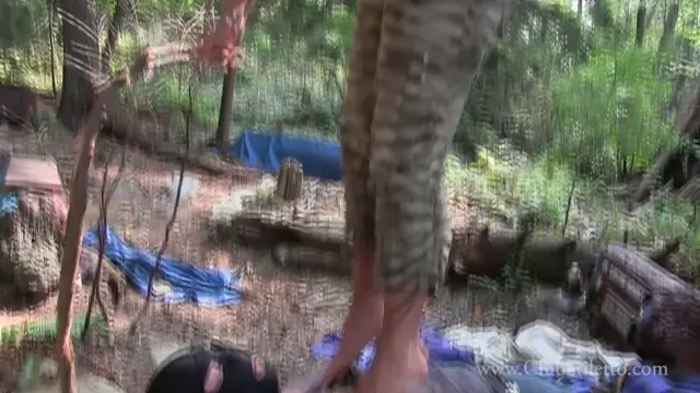 Poster: Club Stiletto FemDom – Jumped On, Trampled and Scissored. Starring Mistress Kandy [Trampling, Trample, Jumping, Scissor, Scissorhold, Scissored, Scissoring]