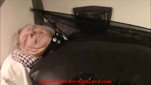 Poster: Cross Country Train Trip - Part 6 Wrapping Up Our Trip