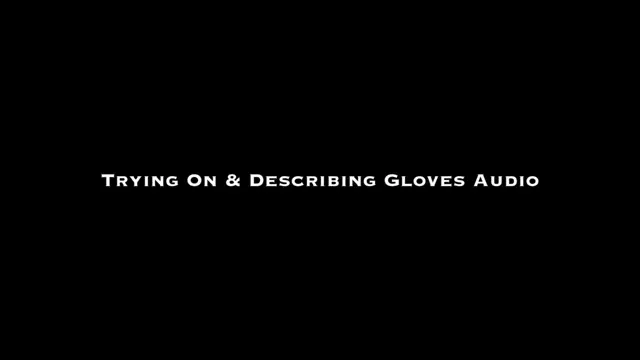Poster: Trying On and Describing Gloves AUDIO
