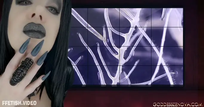 Poster: Goddess Zenova – The Rabbit Hole series 3 – Mind Virus HD