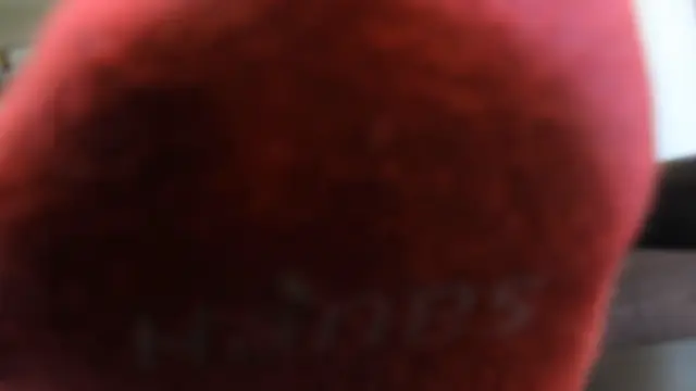 Poster: Jerk Off Instructions For Your Small Penis