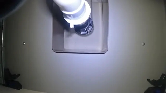 Poster: Ama_Rio – In search of tinies