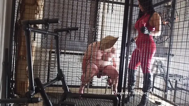 Poster: Torturing My Caged Pig