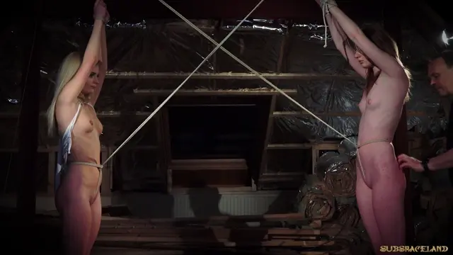 Poster: Candee Licious, Noa Livia