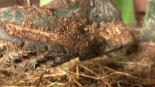 Poster: The test for booth bitch with Mistress Victoria
